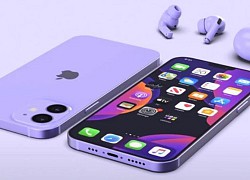 Người Trung Quốc 'phát cuồng' với iPhone 12 màu tím