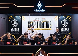 Playoffs Đấu Trường Danh Vọng: Team Flash khẳng định đẳng cấp hay sẽ là sân khấu để những sao trẻ Liên Quân vươn mình?