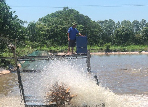 Thủy sản bấp bênh đầu ra