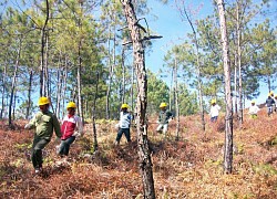 USAID tài trợ hơn 31 triệu USD triển khai dự án về thích ứng biến đổi khí hậu tại Việt Nam