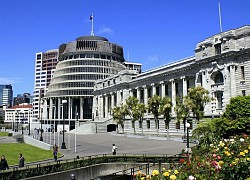 Học bổng liên kết New Zealand dành cho sinh viên Việt Nam