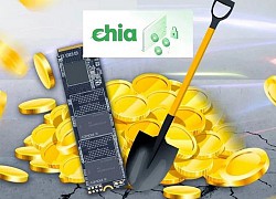 "Cú lừa Bitcoin xanh" khiến dân đầu cơ ổ cứng điêu đứng