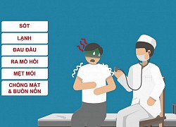 [Infographics] Các biện pháp hiệu quả để phòng, chống sốt rét