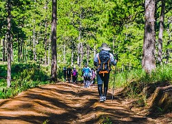 Kỹ năng sinh tồn cần thuộc lòng dù bạn đi du lịch dài ngày hay chỉ camping 1 ngày