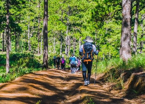 Kỹ năng sinh tồn cần thuộc lòng dù bạn đi du lịch dài ngày hay chỉ camping 1 ngày