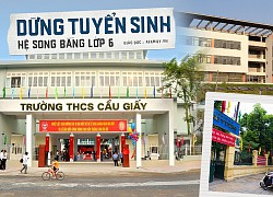 Hà Nội dừng tuyển sinh hệ song bằng lớp 6: Loạt vấn đề đặt ra khiến những phụ huynh có con đang theo học đứng ngồi không yên