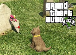 Sau gần thập kỷ ra mắt, chú chó này trong GTA V vẫn luôn đến thăm mộ chủ nhân