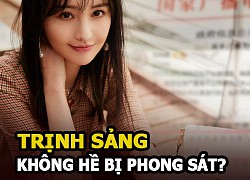 Trịnh sảng không hề bị phong sát, kết quả vụ giành quyền nuôi con với Trương Hằng?