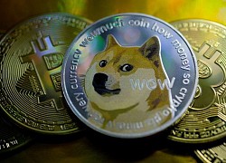 Trở thành triệu phú Dogecoin nhờ nghe theo Elon Musk