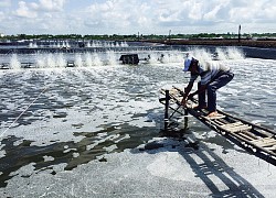 Kẹt xe miền Tây ngày lễ, chủ nuôi tôm như ngồi trên đống lửa