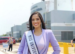 Dàn người đẹp sang Mỹ thi Miss Universe