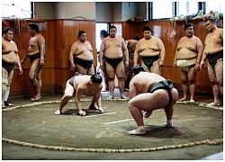 Đô vật Sumo qua đời ở tuổi 28