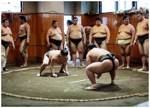 Đô vật Sumo qua đời ở tuổi 28