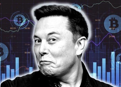 Elon Musk lại thao túng thị trường tiền ảo