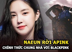 Naeun thành viên hút fan nhất về chung nhà với Blackpink, Apink tan đàn xẻ nghé