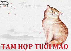 Tam Hợp tuổi Mão gồm những tuổi gì? Tuổi Mão hợp khắc tuổi nào?