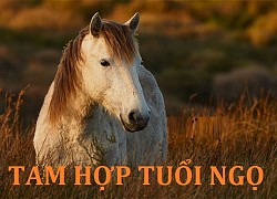 Tam Hợp tuổi Ngọ gồm những tuổi gì? Tuổi Ngọ hợp khắc tuổi nào?