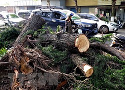 Trung Quốc: Bão mạnh ở Giang Tô làm hơn 100 người thương vong