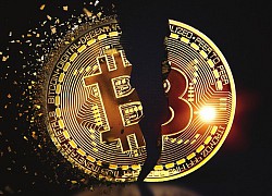 'Bitcoin và tiền mã hóa có thể gây khủng hoảng tài chính toàn cầu'