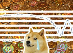 Bong bóng Dogecoin đã vỡ?