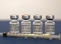 EU phê chuẩn sử dụng vaccine của Pfizer cho trẻ em từ 12-15 tuổi