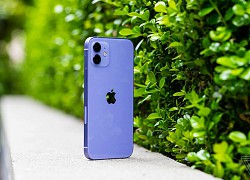 Nên mua iPhone 12 lúc này hay chờ iPhone 13?