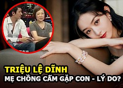 Triệu Lệ Dĩnh bị mẹ chồng cấm gặp con, tỏ thái độ khó chịu vì một nguyên nhân?