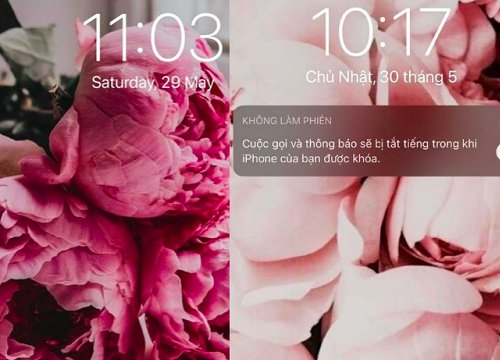 Lý giải trend mới của gen Z Dùng hoa mẫu đơn làm hình nền điện thoại sẽ  nhận được nhiều may mắn và có người yêu  Netizen  Việt Giải Trí