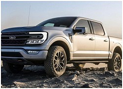 Mẫu bán tải mới của Ford có kích thước nhỏ hơn Ranger