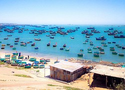 Top 4 khu chợ ở Phan Thiết giúp bạn mua sắm không cần nhìn giá