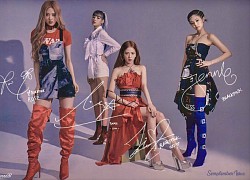 100 người châu Á có tầm ảnh hưởng nhất 2021: BLACKPINK thống trị, "công chúa Disney" gốc Việt và loạt cái tên từ Việt Nam lọt top