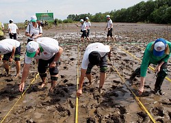 3.700 ngôi nhà an toàn cho vùng sạt lở, lũ lụt