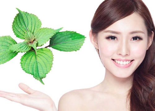 5 lợi ích của xông mặt bằng lá tía tô