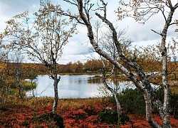 Cảnh đẹp ngọt ngào mê đắm lòng người của vùng Murmansk nước Nga