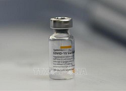 Châu Âu bắt đầu thẩm định vaccine của hãng Sinovac