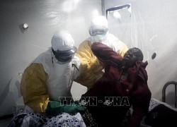 CHDC Congo tuyên bố dập được đợt dịch Ebola tái bùng phát