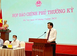 Chính phủ họp báo: Không cấm chuyên gia vào, không tuân thủ cách ly có thể xử lý hình sự