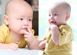 Đáng yêu như Leon nhà Hồ Ngọc Hà vẫn gặp phải lời chê bai