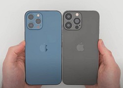 Đây có thể là iPhone 13 Pro Max