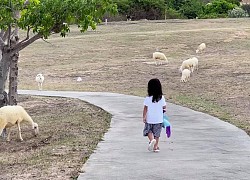 Decao đưa bồ tin đồn đi du lịch với hội bạn thân, chờ ngày công khai lâu quá nè anh ơi!