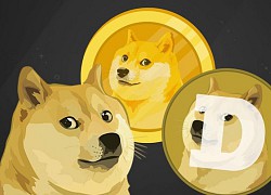 'Dogecoin khiến đầu tư cổ phiếu, vàng trở nên lỗi thời'