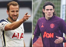 "Edinson Cavani rất tốt, nhưng Harry Kane tốt hơn"