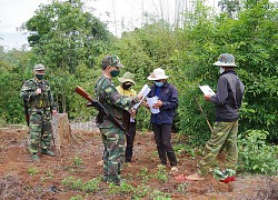 Lãnh đạo 12 đồn biên phòng trên tuyến biên giới được yêu cầu tuyệt đối không được lơ là