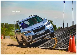 Subaru Forester 'gặm nhấm' thị phần của Honda CR-V bằng cách này