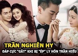 Trần Nghiên Hy đáp trả cực &#8220;gắt&#8221; khi bị &#8220;ép&#8221; ly hôn để Trần Hiểu đến với Triệu Lệ Dĩnh