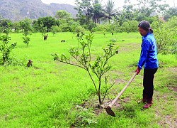 Xã Hà Tiến phát triển kinh tế trang trại