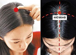 Bài thuốc trị thiếu máu não