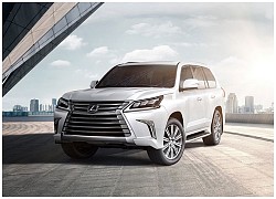 Bảng giá xe Lexus tháng 5/2021: Đắt nhất 8,890 tỷ đồng