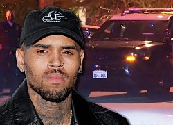 Chris Brown bị chỉ trích khi mời gần 500 khách dự sinh nhật