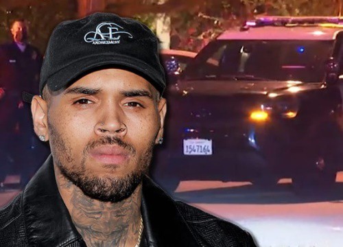 Chris Brown bị chỉ trích khi mời gần 500 khách dự sinh nhật